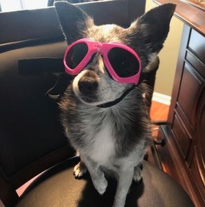 Meet your Posher, Gloria